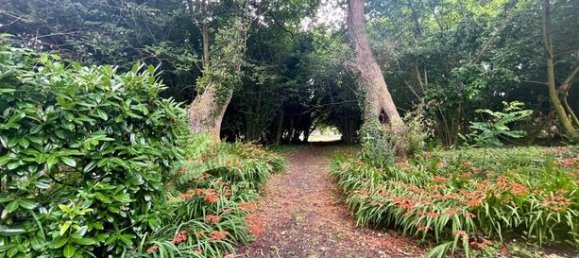 Terrain à Josse, France 2532m² No. 311379 2