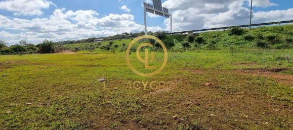 Terreno en Alcoentre, Portugal 29400 m² No. 75001 11