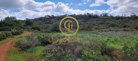 Terreno en Alcoentre, Portugal 29400 m² No. 75001 10