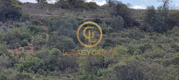 Terreno en Alcoentre, Portugal 29400 m² No. 75001 9