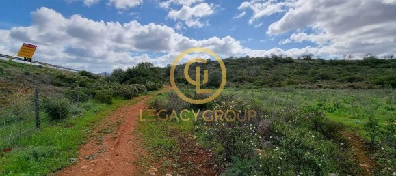 Terreno en Alcoentre, Portugal 29400 m² No. 75001 8