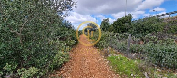 Terreno en Alcoentre, Portugal 29400 m² No. 75001 7