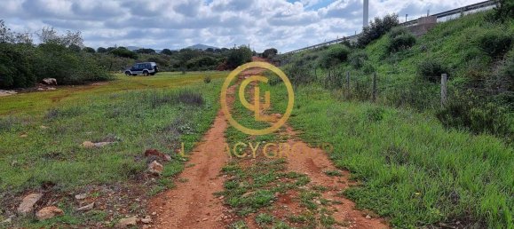 Terreno en Alcoentre, Portugal 29400 m² No. 75001 6