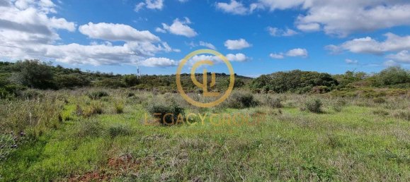 Terreno en Alcoentre, Portugal 29400 m² No. 75001 12