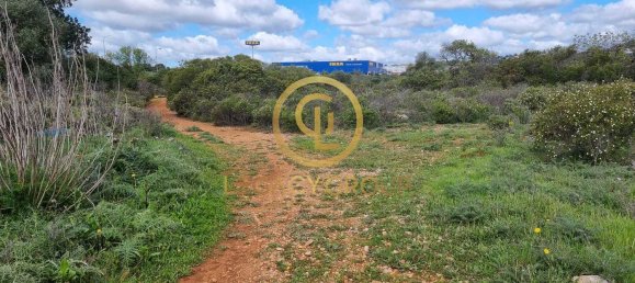 Terreno en Alcoentre, Portugal 29400 m² No. 75001 14