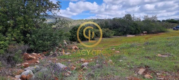Terreno en Alcoentre, Portugal 29400 m² No. 75001 5