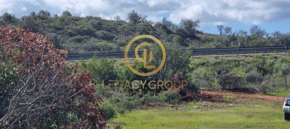 Terreno en Alcoentre, Portugal 29400 m² No. 75001 13