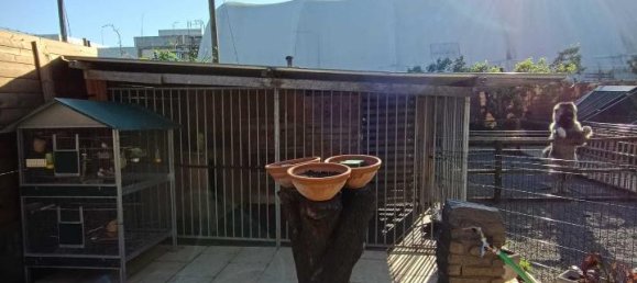 8غرفة منزل في Villafranca in Lunigiana, Italy رقم 227408 21