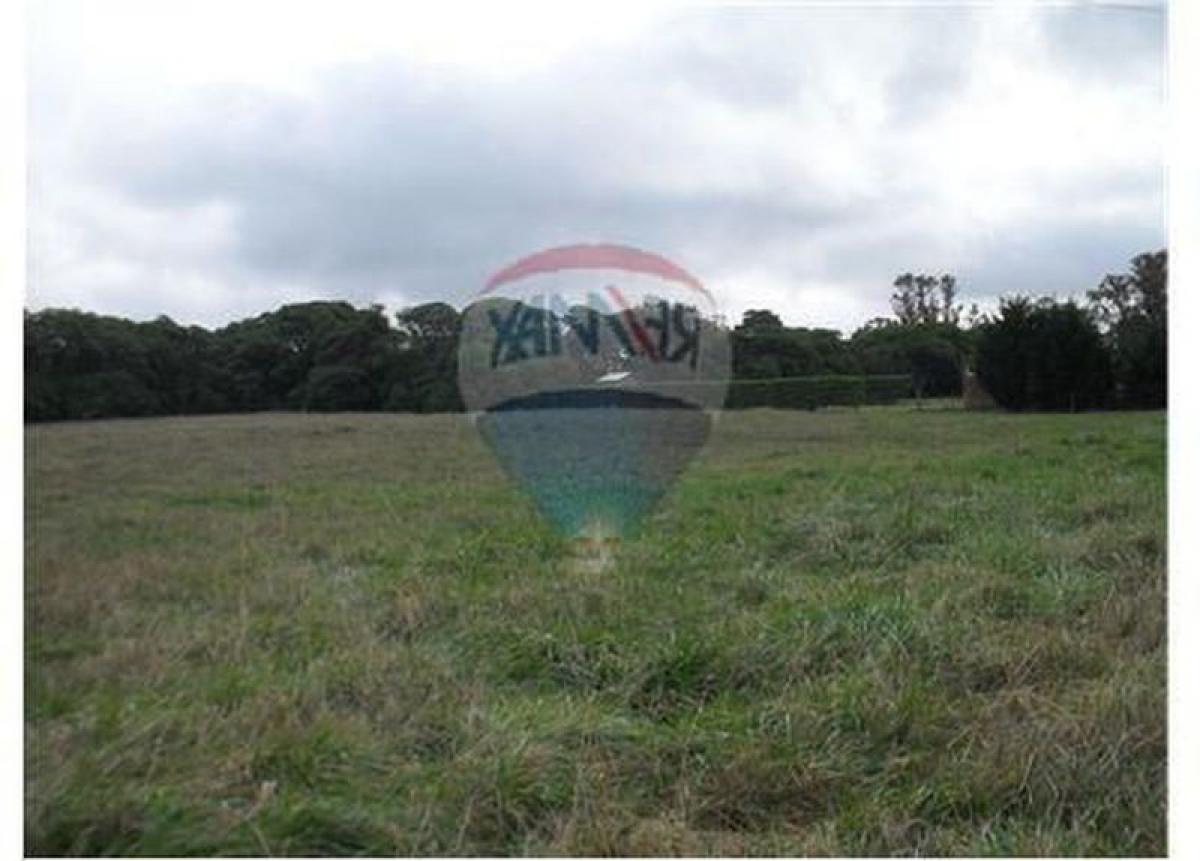 Terreno em Mar del Plata, Argentina N.º 116810