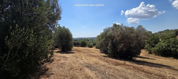 3غرفة منزل في Cisternino, Italy رقم 297849 45