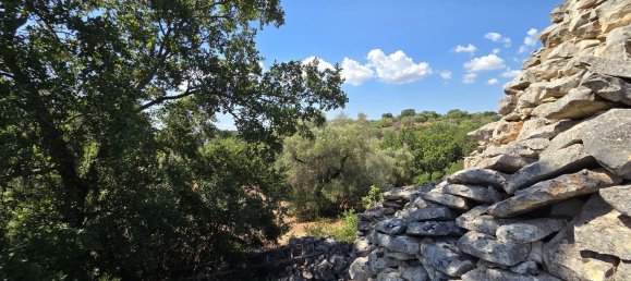 3غرفة منزل في Cisternino, Italy رقم 297849 31