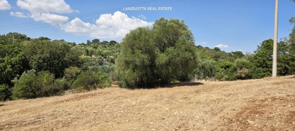 3غرفة منزل في Cisternino, Italy رقم 297849 41