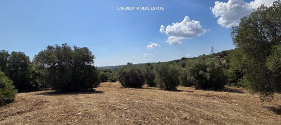 3غرفة منزل في Cisternino, Italy رقم 297849 43