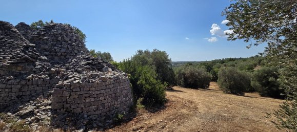 3غرفة منزل في Cisternino, Italy رقم 297849 40