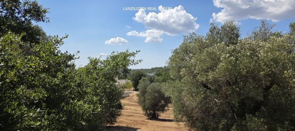 3غرفة منزل في Cisternino, Italy رقم 297849 44