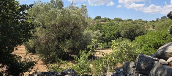 3غرفة منزل في Cisternino, Italy رقم 297849 38