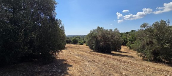 3غرفة منزل في Cisternino, Italy رقم 297849 42