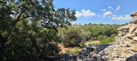 3غرفة منزل في Cisternino, Italy رقم 297849 36