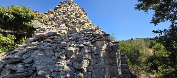 3غرفة منزل في Cisternino, Italy رقم 297849 29