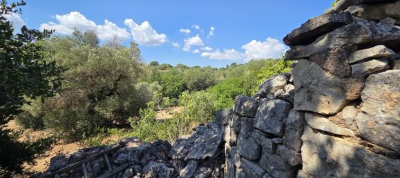 3غرفة منزل في Cisternino, Italy رقم 297849 30