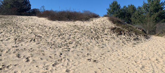 Квартира с 1 спальней в Кюк, Франция № 72339 3