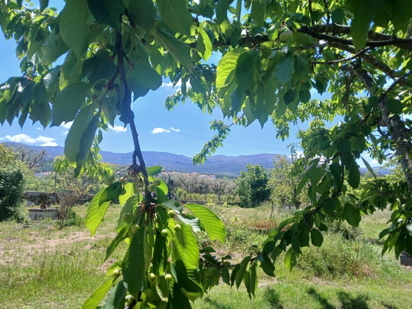 3 bedrooms House in Gouveia, Portugal No. 282534