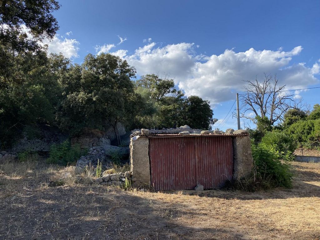 4 bedrooms House in Sotta, France No. 91520