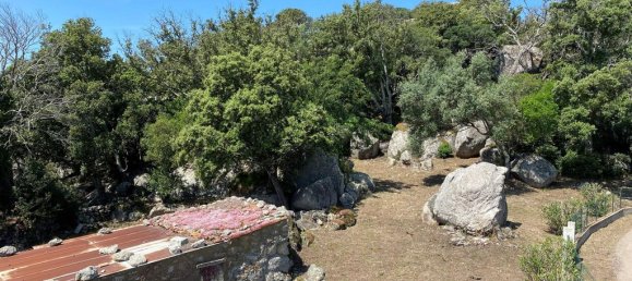 4 bedrooms House in Sotta, France No. 91520 7