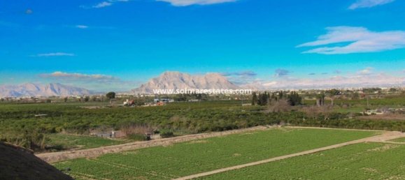 1 chambre Appartement à Algorfa, Spain No. 133294 2