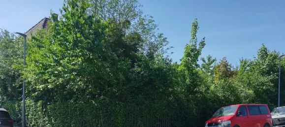  Land in Mainz-Bingen, Germany No. 291345 4