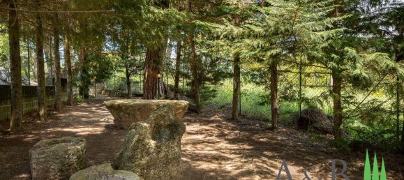 12-salle Villa à Passignano sul Trasimeno, Italy No. 56381 42