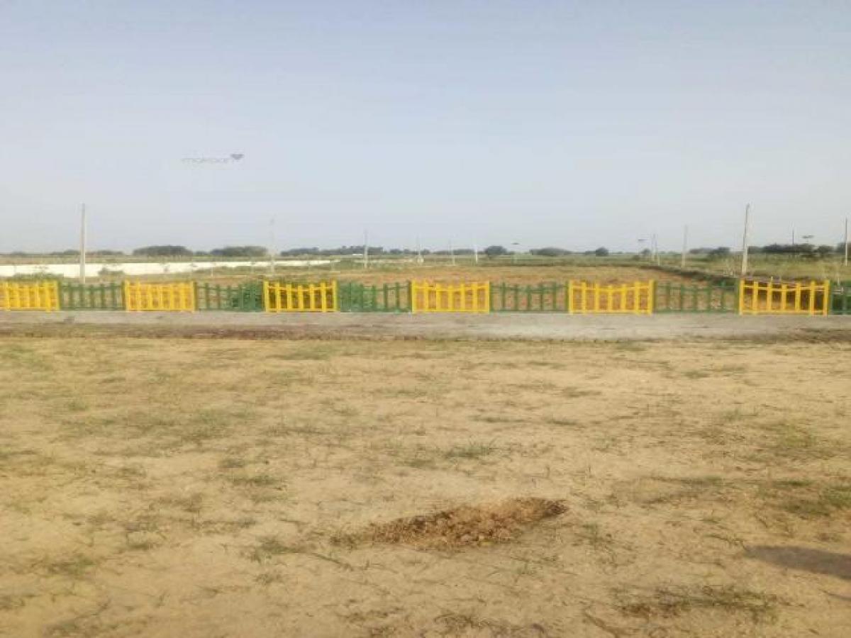  Land in Noida, India No. 65811
