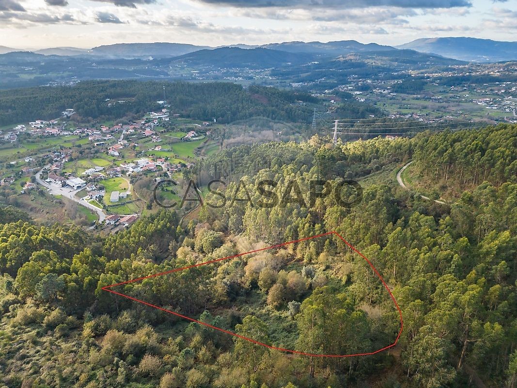  Land in Vila Verde, Portugal No. 219436