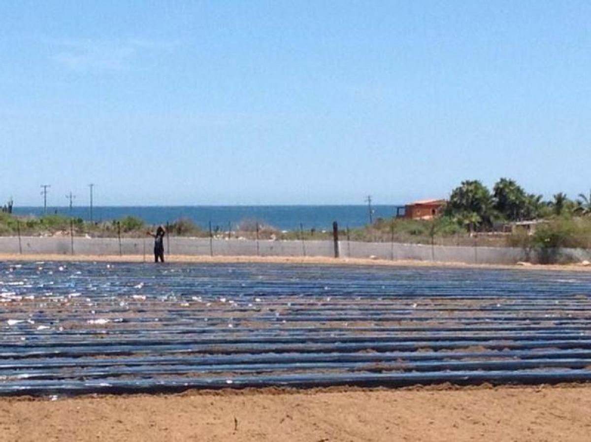 Здание в Южная Нижняя Калифорния, Мексика № 200452