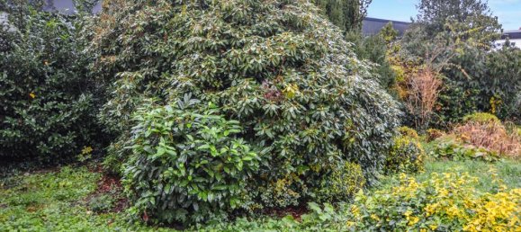 5-salle Bungalow à Celle, Germany No. 99018 24