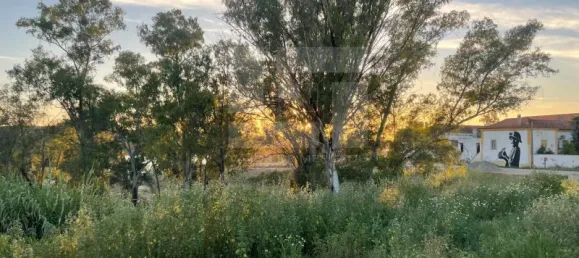 5 bedrooms House in Corte do Pinto, Portugal No. 40476 23