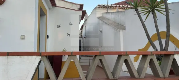 5 bedrooms House in Corte do Pinto, Portugal No. 40476 20