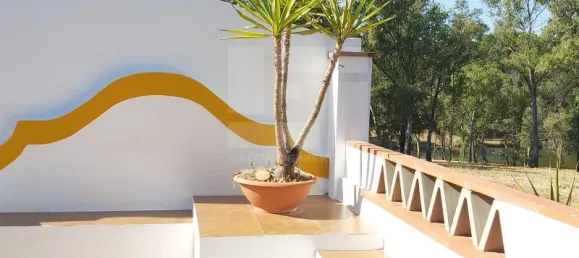 5 bedrooms House in Corte do Pinto, Portugal No. 40476 4