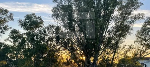 5 bedrooms House in Corte do Pinto, Portugal No. 40476 24