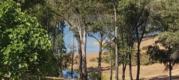 5 bedrooms House in Corte do Pinto, Portugal No. 40476 19