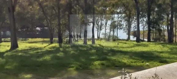 5 bedrooms House in Corte do Pinto, Portugal No. 40476 2