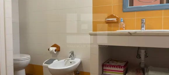 5 bedrooms House in Corte do Pinto, Portugal No. 40476 33