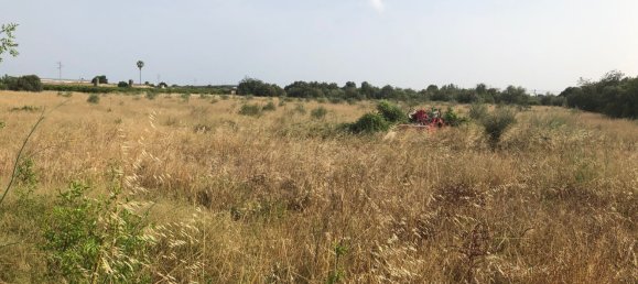  قطعة أرض في Vinaros, Spain رقم 162756 20