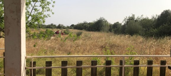  قطعة أرض في Vinaros, Spain رقم 162756 6