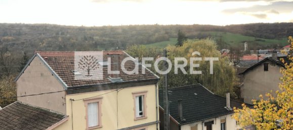 1 bedroom Apartment in Neuves-Maisons, France No. 79439 3