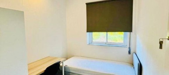 12 غرف نوم منزل في Braga, Portugal رقم 40753 17