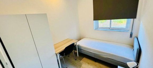 12 غرف نوم منزل في Braga, Portugal رقم 40753 13