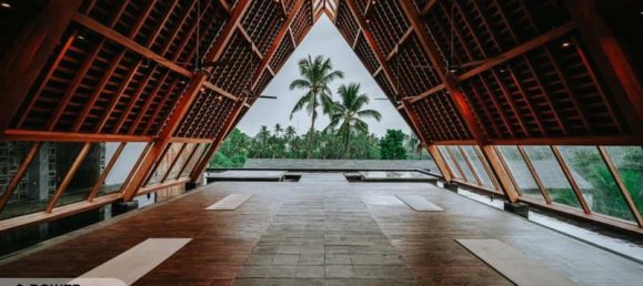 1 Schlafzimmer Villa in Ubud, Indonesia, Nr. 3910 4