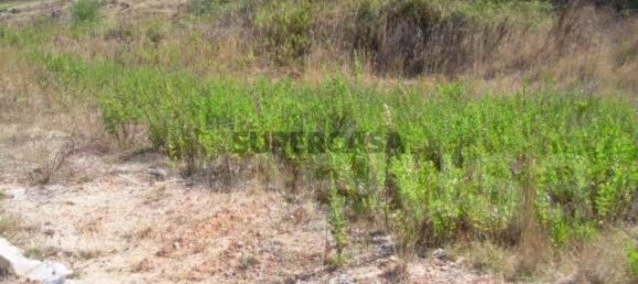 Terreno em Tavarede, Portugal 681 m² N.º 164697 3