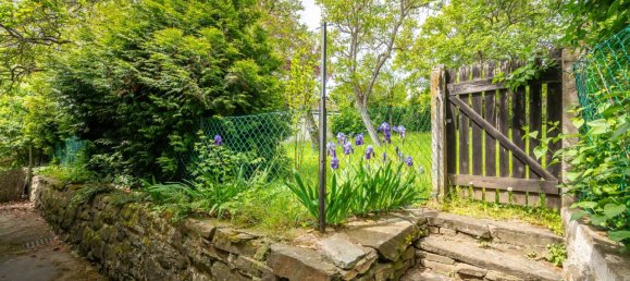 Terrain à Krems an der Donau, Austria No. 32645 7